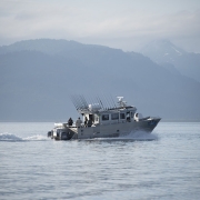 Lisa_Linegar-21_copy